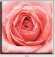 /album/photo-gallery-canvas-uri/decoratiuni-de-perete-canvas-lc-0221-jpg/